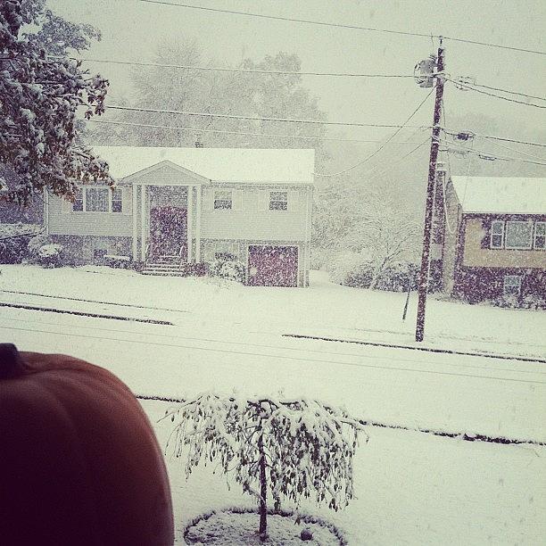Update On The Snow! Its Getting Bad! Photograph by Caitlin Imbimbo