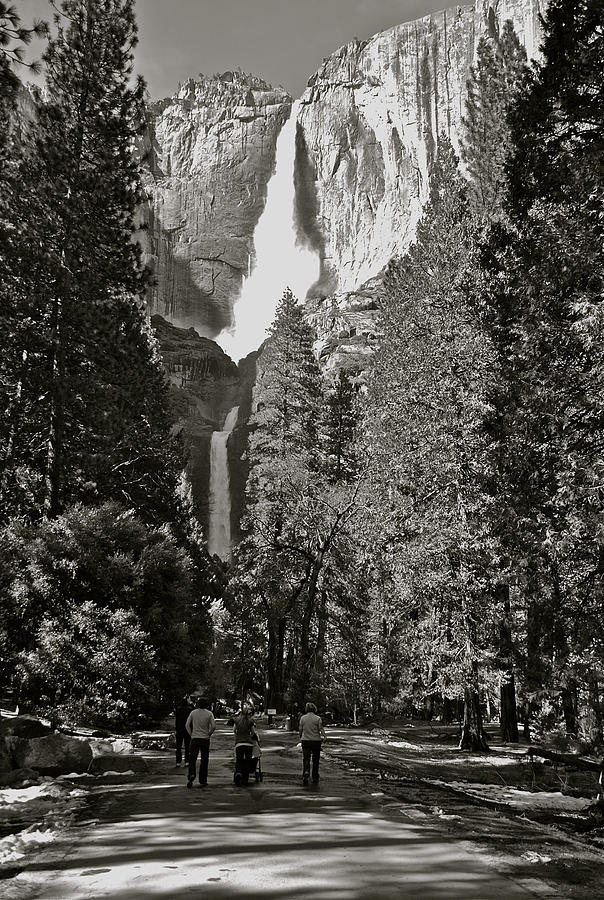 Upper and Lower Yosemite Falls Photograph by Eric Tressler
