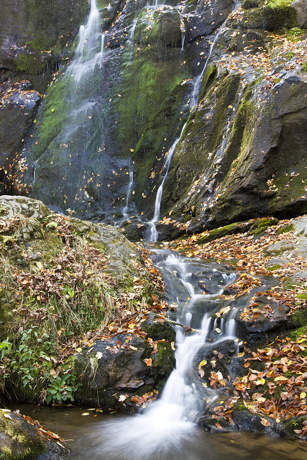 Upper Dark Hollow Falls in Shenandoah National Park Photograph by Pierre Leclerc Photography