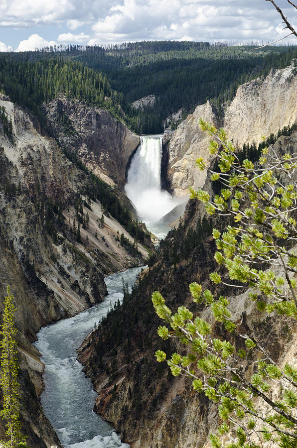 Yellowstone National Park Photograph - Upper Falls of the Yellowstone River by Jon Berghoff