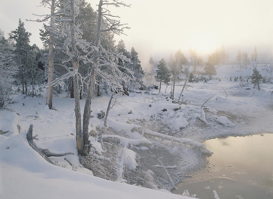 Upper Geyser Basin In Winter Photograph by Tim Fitzharris