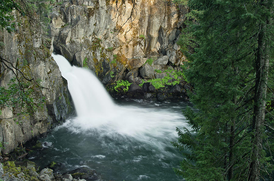 Upper McCloud Falls Photograph by Greg Nyquist
