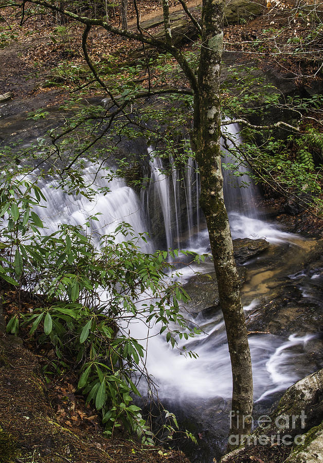 Upper Portion Wildcat Creek Falls Photograph by David Waldrop
