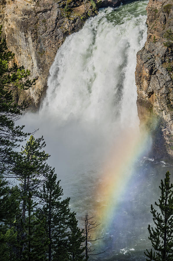 Yellowstone National Park Photograph - Upper Yellowstone Falls and Rainbow by Greg Nyquist