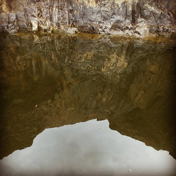 Upside Down Photo, Reflection Photograph by Andrew Wong Fine Art America