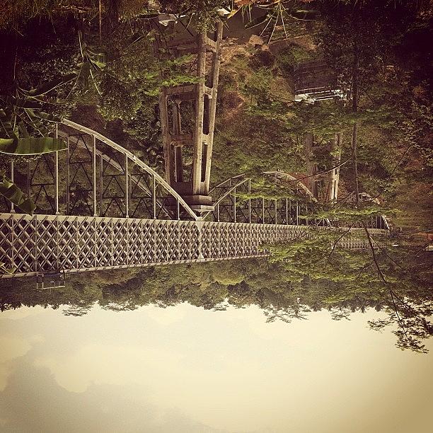 Bridge Photograph - #upsidedown #cirahong #bridge by Remy Asmara
