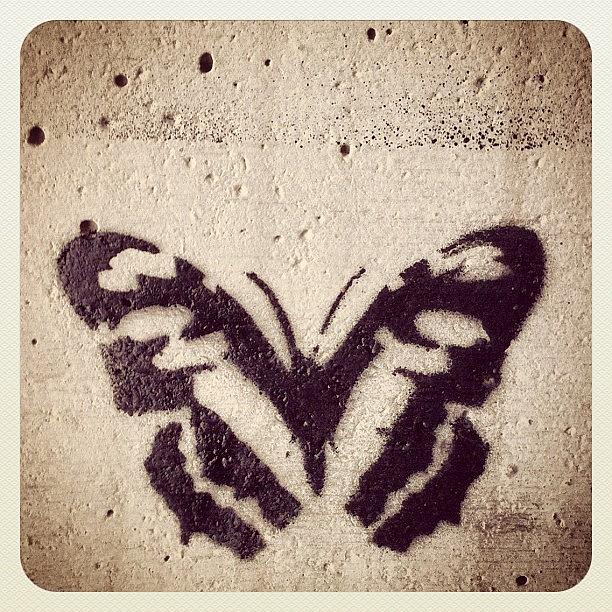 Butterfly Photograph - #urban #butterfly by Rachel Boyer 
