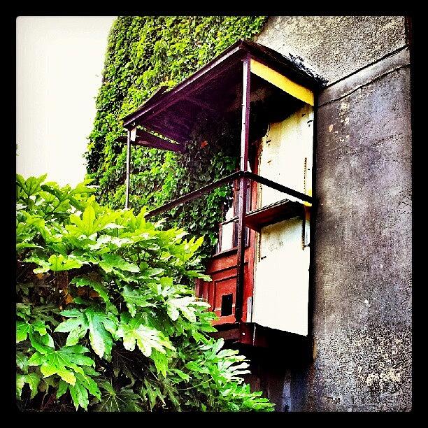 Tree Photograph - Urban Decay - Rusty Door #rust #door by Invisible Man