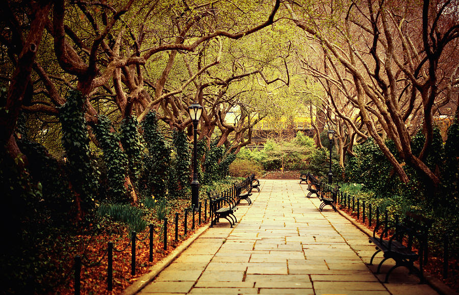 Spring Photograph - Urban Forest Primeval - Central Park Conservatory Garden in the Spring by Vivienne Gucwa