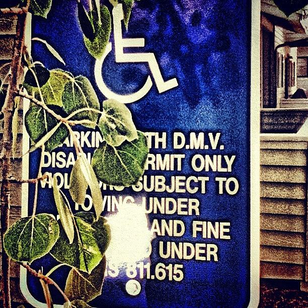 Summer Photograph - Urban Handicap. Found This Sign.. Had by Daniel Larson