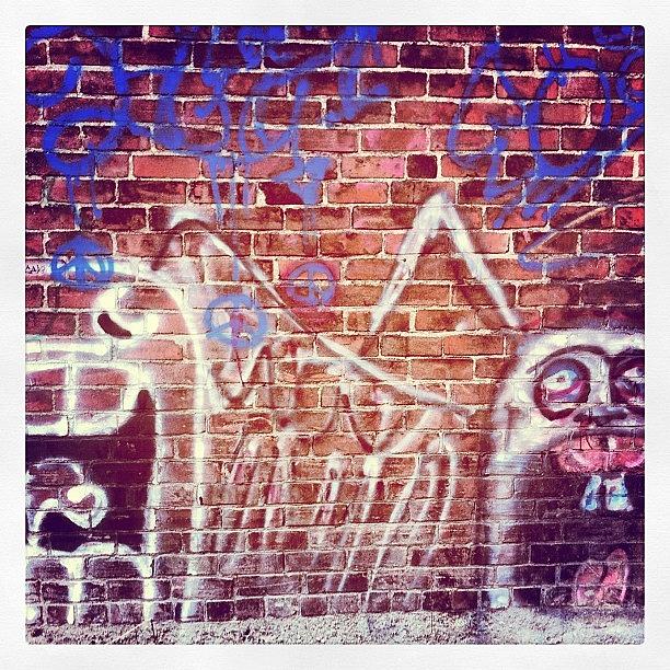 Urban Monsters #livelifeuptown Photograph by Bryn Robinson