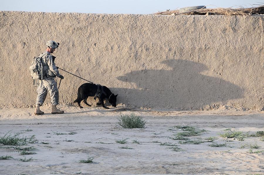 Us Army Working Dog Team Conducts Photograph by Everett Us Army Working Dog Team Conducts Photograph by Everett
