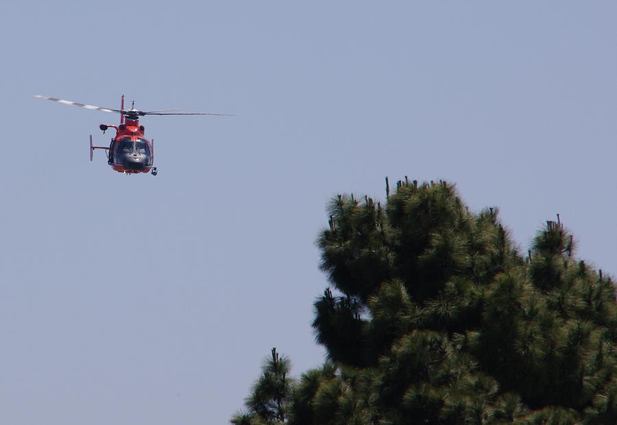 US Coast Guard Chopper Flying Low Over Trees Photograph by Jeff Lowe