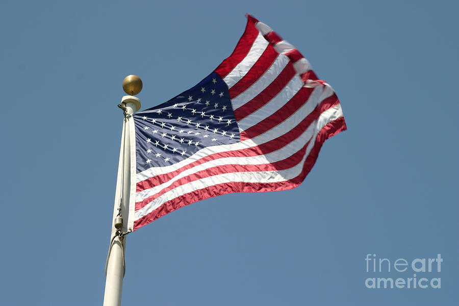 USA Flag Photograph by Henrik Lehnerer