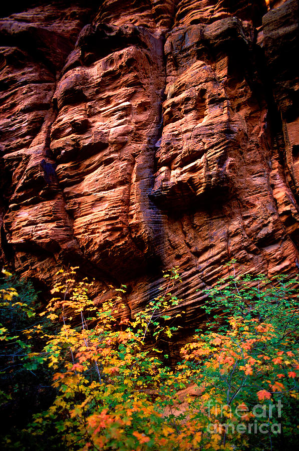 Utah - Rock Face 1 Photograph by Terry Elniski