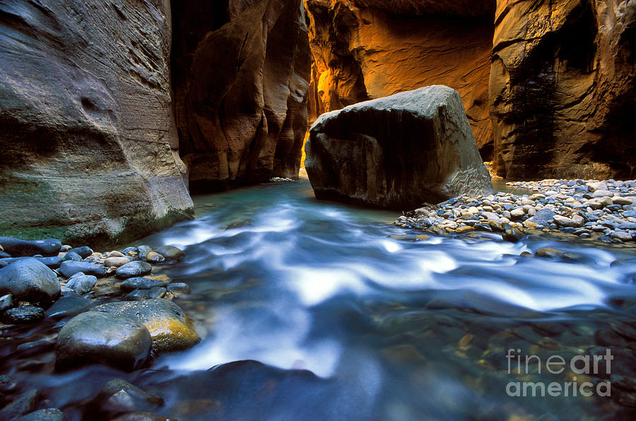 Utah - Virgin River 3 Photograph by Terry Elniski