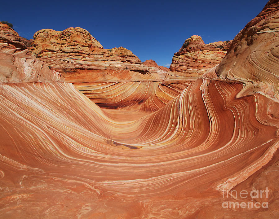 The Wave Photograph - Utah Wave by Dennis Hedberg