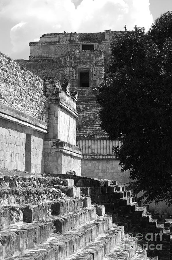 Uxmal Mexico Ruin Steps and Top of Pyramid of the Magician Black and White Photograph by Shawn OBrien