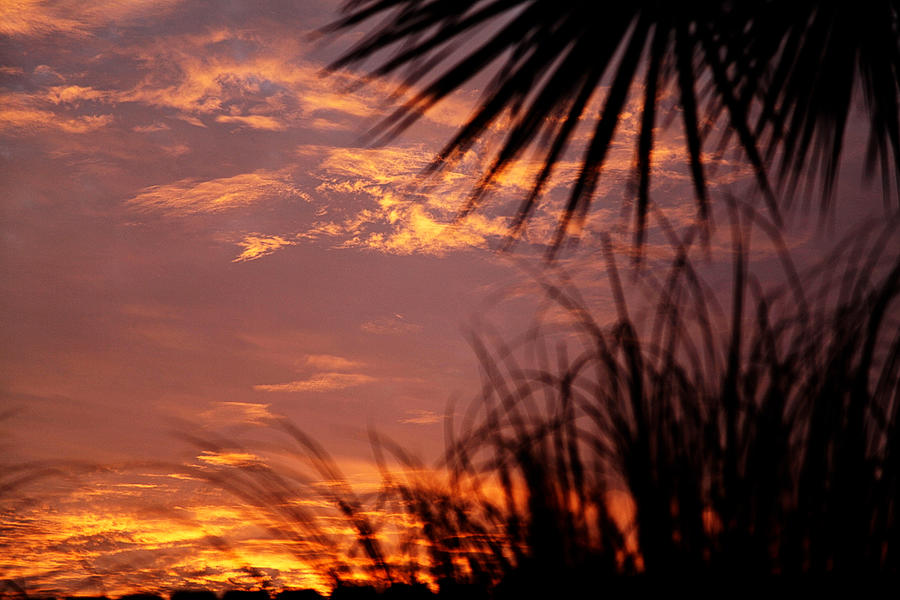 Vacation sunset Photograph by Toni Hopper