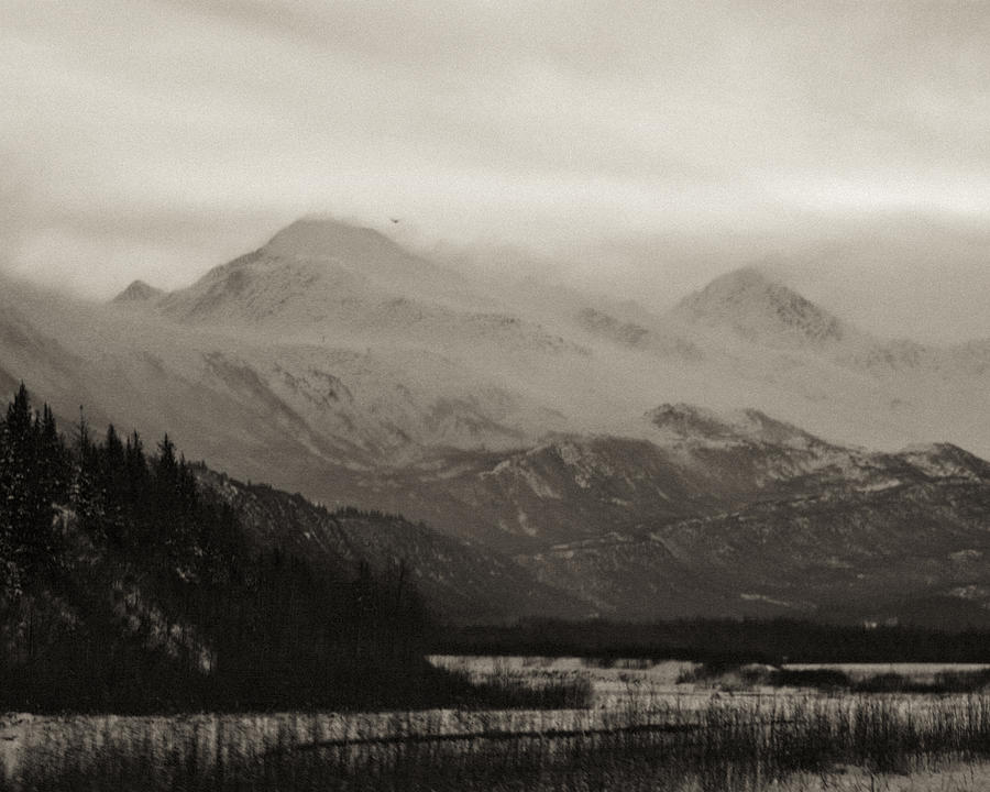 Valdez to Anchorage Photograph by Roger Wedegis - Fine Art America