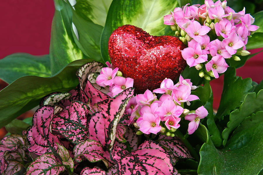 Valentine Heart And Flowers Photograph by Byron Varvarigos