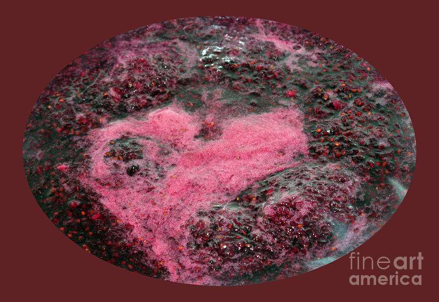 Raspberry Photograph - Valentine Jam by Ausra Huntington nee Paulauskaite