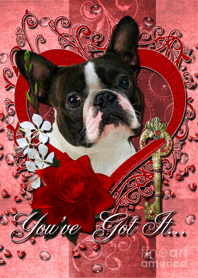 Boston Digital Art - Valentines - Key to My Heart Boston Terrier by Renae Crevalle
