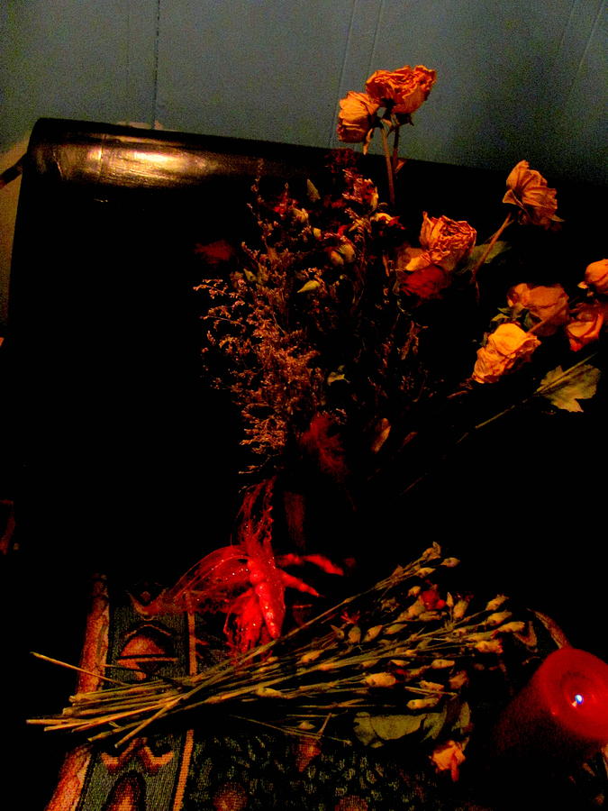 Flower Photograph - Valentines Night by Amy Bradley