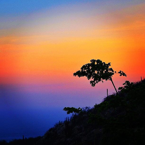 Nature Photograph - Vallarta Sunset by Alfonso Cesar