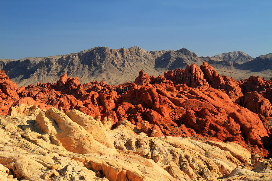 Valley of Fire colorful landscape Photograph by Pierre Leclerc Photography