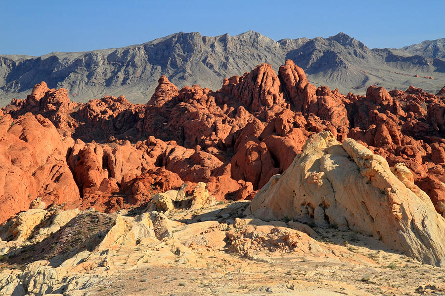 Valley of Fire landscape Photograph by Pierre Leclerc Photography