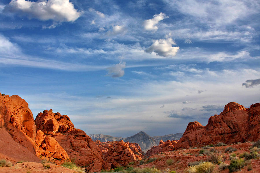 Desert Photograph - Valley of Fire Nevada - A must-see for desert lovers by Alexandra Till