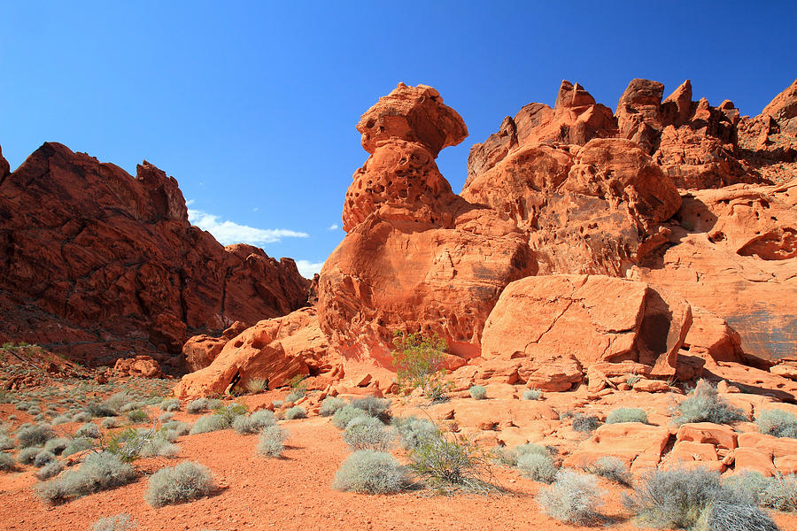 Valley of Fire State Park Photograph by Pierre Leclerc Photography