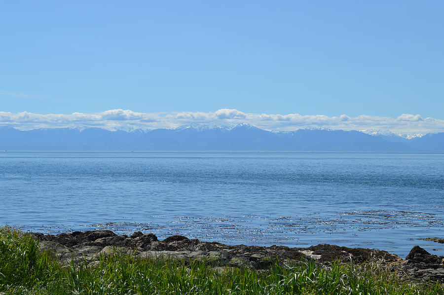Vancouver Island Photograph - Vancouver Island Shore View by Ann Marie Chaffin Vancouver Island Photograph - Vancouver Island Shore View by Ann Marie Chaffin