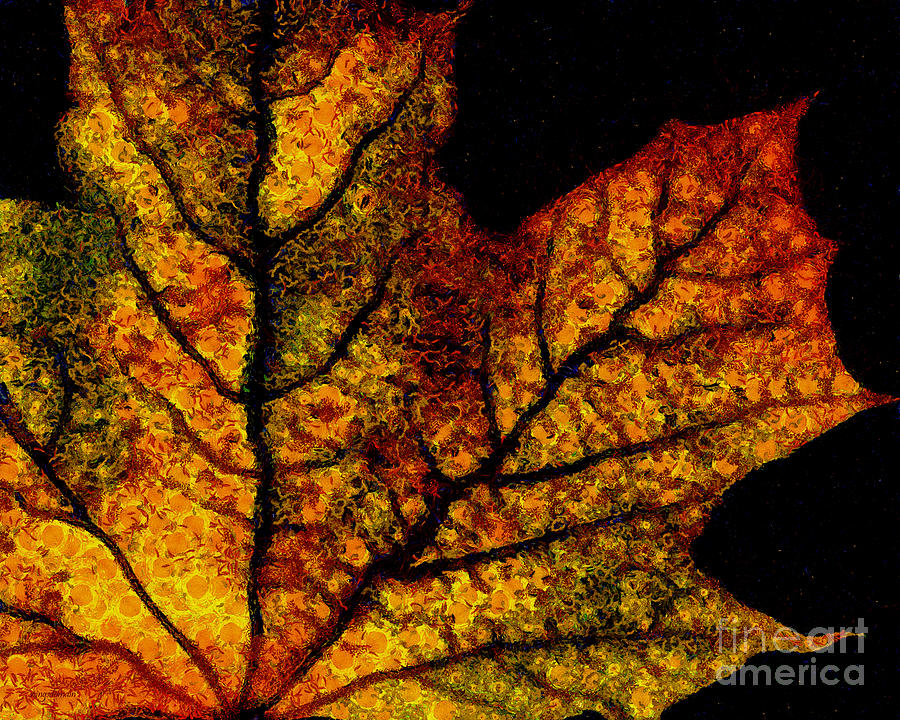 Vangoghs Autumn Maple Leaf Photograph by Wingsdomain Art and Photography