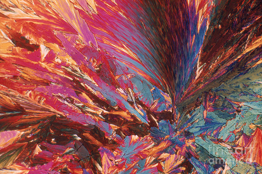 Vanillin Crystals Photograph by Eric V. Grave