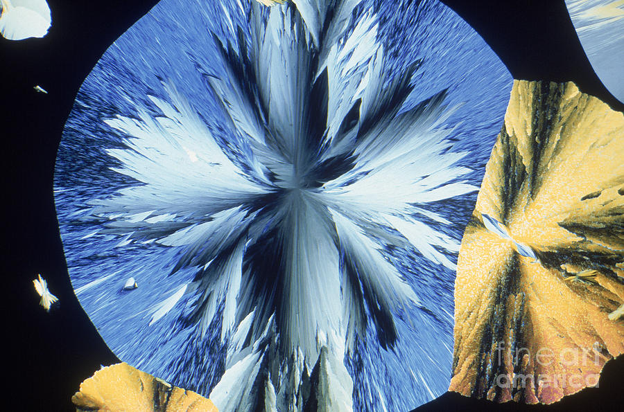 Vanillin Crystals Photograph by M. I. Walker