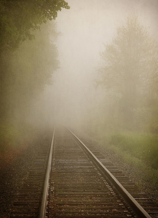 Vanishing Into The Fog Photograph by Dale Kincaid