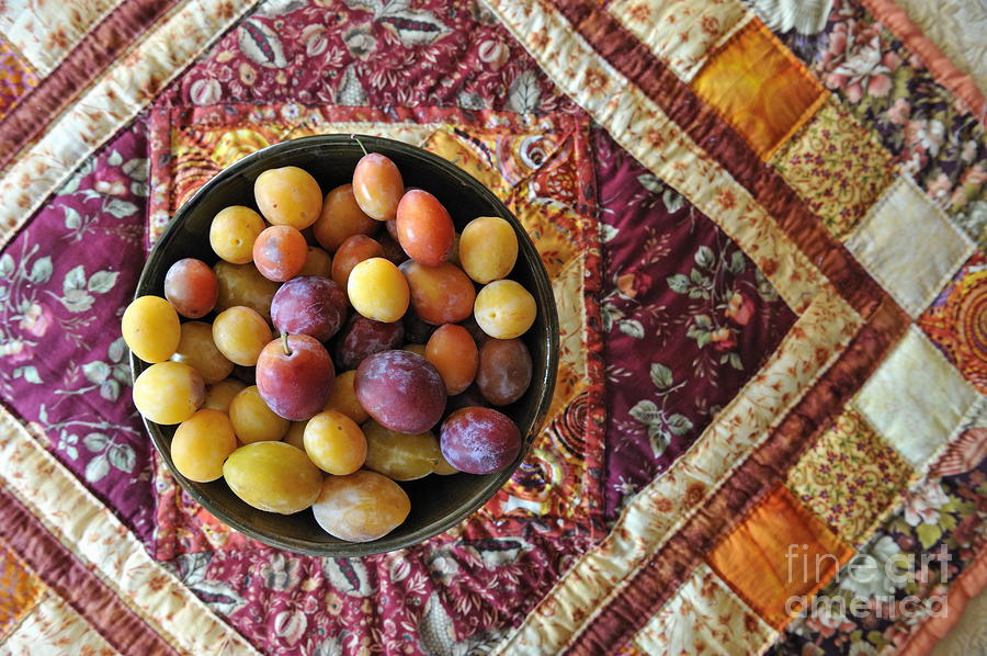 Bowl Photograph - Variety of plums in bowl on colorful tablecloth by Sami Sarkis