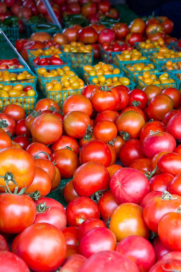 Variety Of Tomatoes Photograph by Dina Calvarese