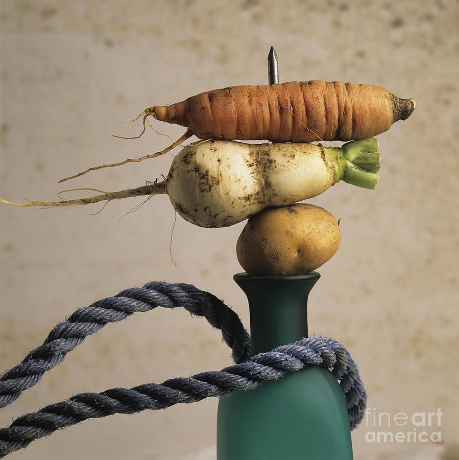Vegetable Photograph - Variety of vegetables by Bernard Jaubert