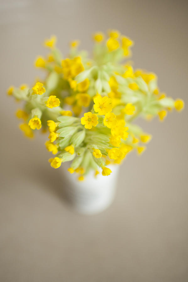 Vase Of Cowslips Photograph by Tim Graham