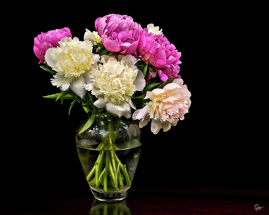 Vase of Peonies Photograph by Endre Balogh