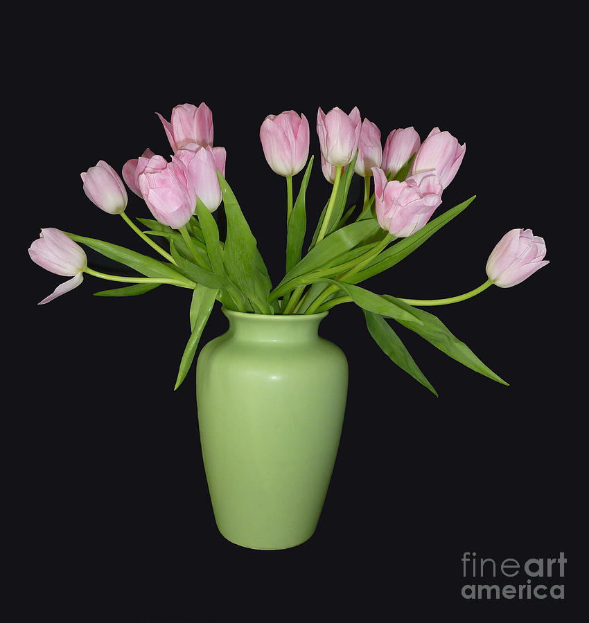 Vase of Pink Tulips Photograph by Sheila Laurens