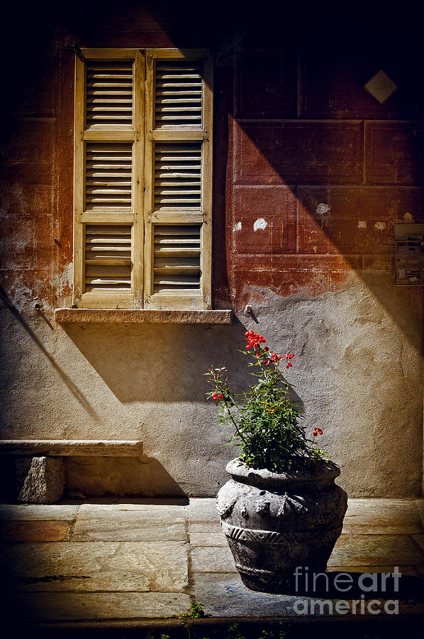 Vase window and shadows Photograph by Silvia Ganora