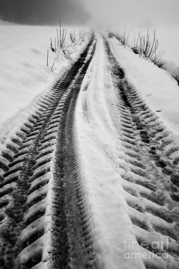 Winter Photograph - Vehicule tire tracks on hazy and snowy path by Sami Sarkis