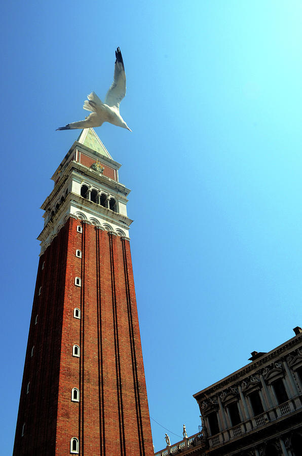 Venetian Fly-by Photograph by La Dolce Vita