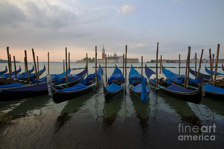 Venetian Morning Photograph by Dennis Hedberg