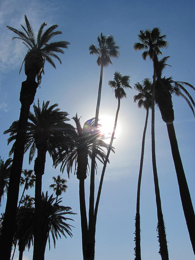 Venice Beach Photograph by Lynn Menlo - Fine Art America