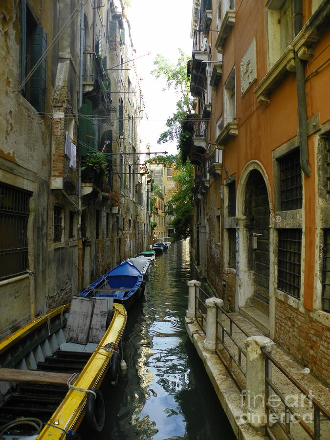 Venice Canal Photograph by Elizabeth Fontaine-Barr